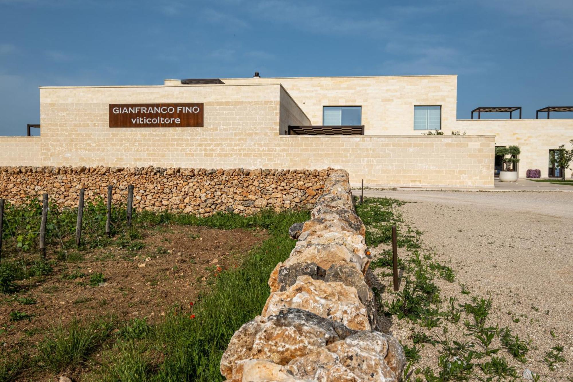 מנדוריה Gianfranco Fino Viticoltore מראה חיצוני תמונה